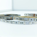 FITA LED ELIGHT 14.4W 24V RGB IP20 5MT