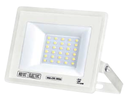 ASLAN-30 30W WHITE 6400K 175-250V LED PROJ.  